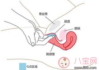 女性G點位置怎么找 怎樣刺激女性G點的方法