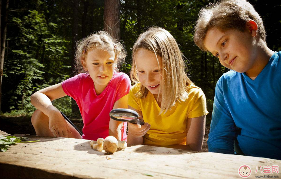 孩子喜歡獎勵應該怎么獎 怎么給他正確的獎勵制度