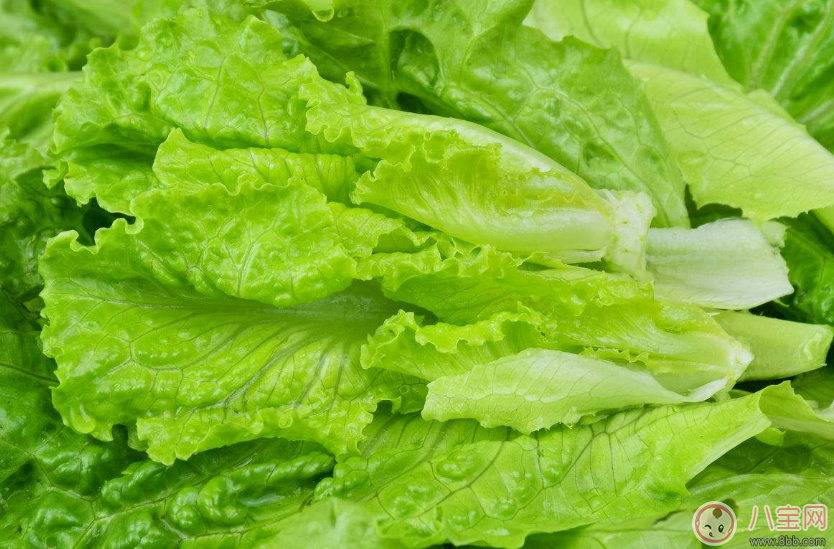 懷孕能吃馬生菜嗎 懷孕吃馬生菜會(huì)流產(chǎn)嗎 懷孕能吃馬生菜嗎 懷孕吃馬生菜會(huì)流產(chǎn)嗎