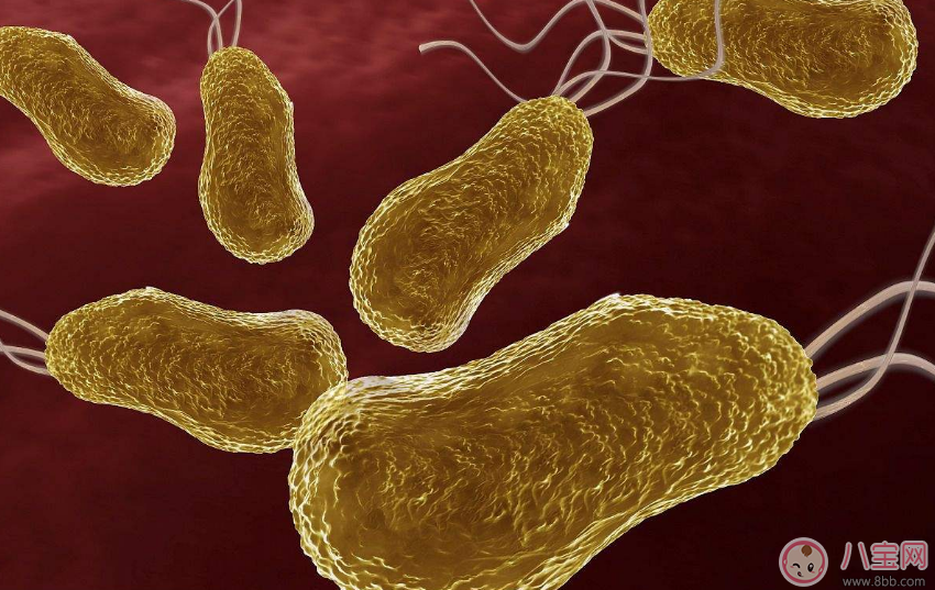 孩子感染幽門螺旋桿菌的癥狀是什么 幽門螺旋桿菌呈陽性嚴重嗎 孩子感染幽門螺旋桿菌的癥狀是什么 幽門螺旋桿菌呈陽性嚴重嗎