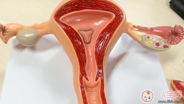 節育環會自己脫落嗎  節育環脫落的原因有哪些