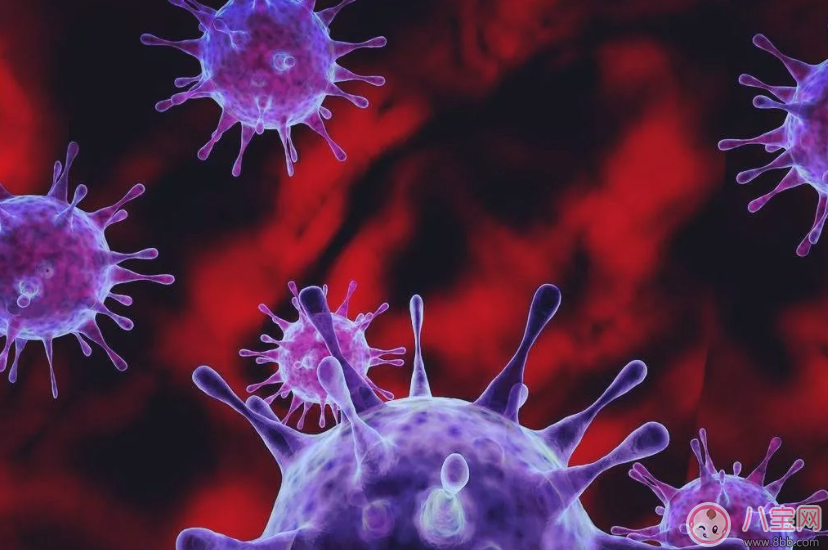 如何鑒別諾如病毒與食物中毒   諾如病毒與食物中毒有什么區(qū)別