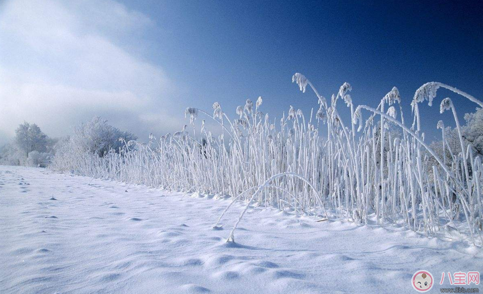 大寒怎么發(fā)朋友圈配圖 2018大寒發(fā)朋友圈短句簡單評論 大寒怎么發(fā)朋友圈配圖 2018大寒發(fā)朋友圈短句簡單評論