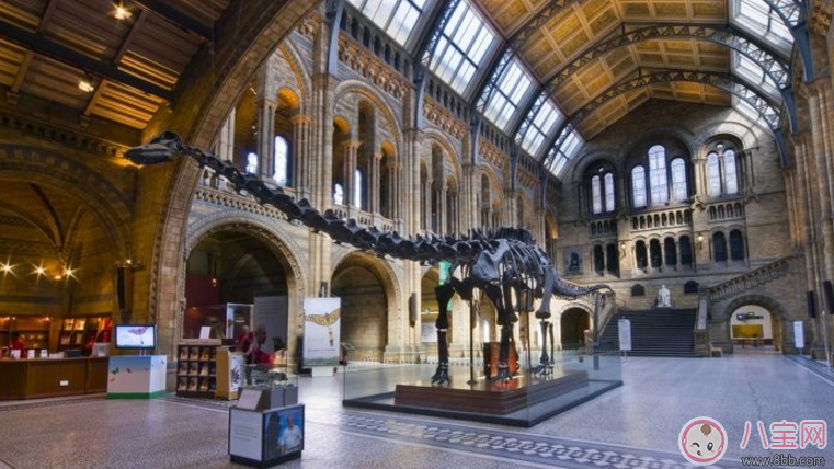 夏洛特小公主上什么幼兒園 為什么夏洛特與哥哥的幼兒園選擇不一樣 夏洛特小公主上什么幼兒園 為什么夏洛特與哥哥的幼兒園選擇不一樣