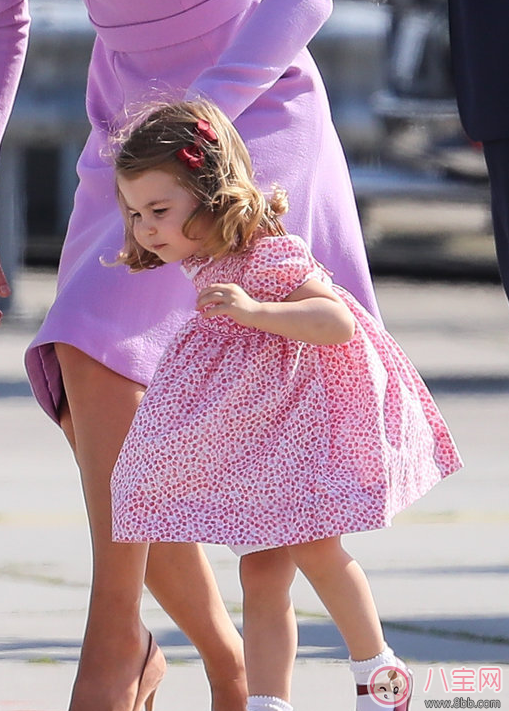夏洛特小公主上什么幼兒園 為什么夏洛特與哥哥的幼兒園選擇不一樣 夏洛特小公主上什么幼兒園 為什么夏洛特與哥哥的幼兒園選擇不一樣