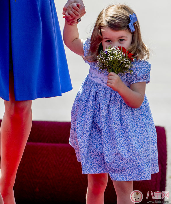 夏洛特小公主上什么幼兒園 為什么夏洛特與哥哥的幼兒園選擇不一樣 夏洛特小公主上什么幼兒園 為什么夏洛特與哥哥的幼兒園選擇不一樣