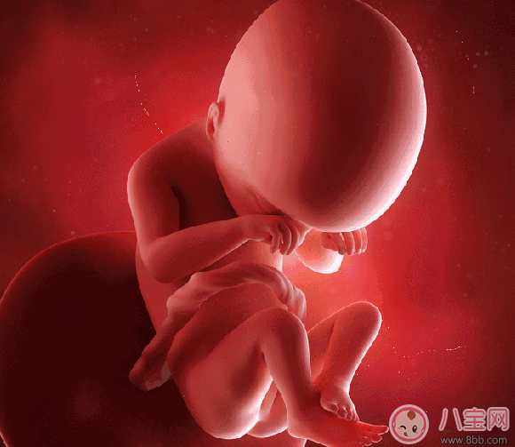 胎寶寶發脾氣有哪些癥狀 胎寶寶為什么會發脾氣 胎寶寶發脾氣有哪些癥狀 胎寶寶為什么會發脾氣