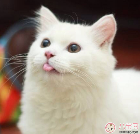 孩子魚刺卡喉嚨妙招喝可樂有用嗎 孩子卡魚刺怎么做最好