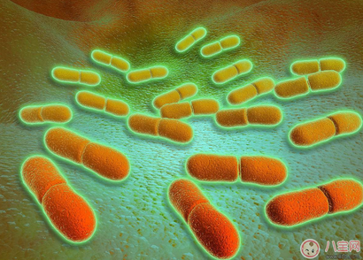 李斯特菌病感染癥狀是什么 李斯特菌病能治好嗎 李斯特菌病感染癥狀是什么 李斯特菌病能治好嗎