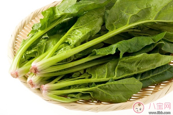 吃什么食物含有葉酸  備孕必吃富含葉酸的食物有哪些