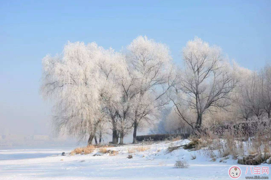 2018大寒出生的寶寶好嗎  大寒出生的人命運(yùn)怎么樣