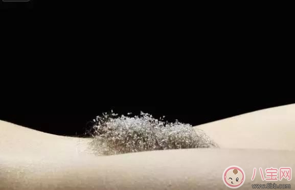 陰毛對人體作用有多大 剃陰毛到底好不好 陰毛對人體作用有多大 剃陰毛到底好不好