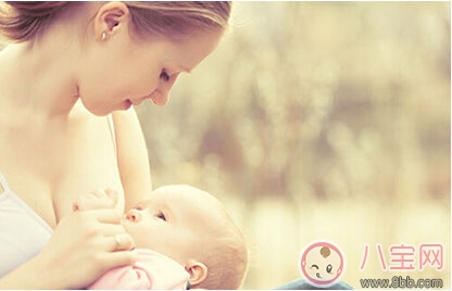 產后堵奶有哪些通奶辦法 如何有效預防堵奶