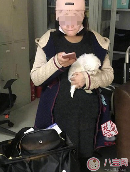 扮孕婦想藏狗登機(jī) 飛機(jī)上能不能帶寵物 扮孕婦想藏狗登機(jī) 飛機(jī)上能不能帶寵物