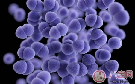 尖銳濕疣的危害有哪些 尖銳濕疣能徹底治愈嗎