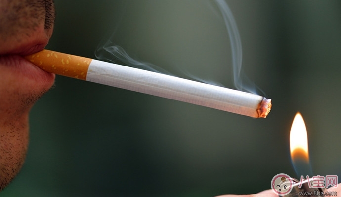 男性備孕期間需要吃哪些食物 男性備孕期間哪些飲食習慣有助備孕