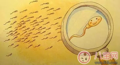 男性少精弱精是什么原因 男性少精弱精吃什么藥