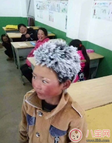 冰花男孩收到多少捐助 為何引起網友不滿