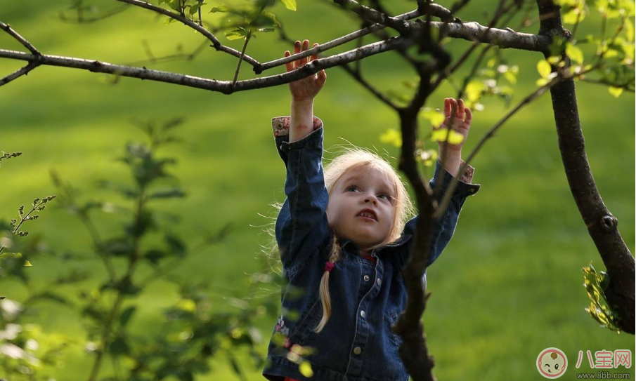 農歷臘月出生的人命運好不好 臘月出生的寶寶是什么命 農歷臘月出生的人命運好不好 臘月出生的寶寶是什么命