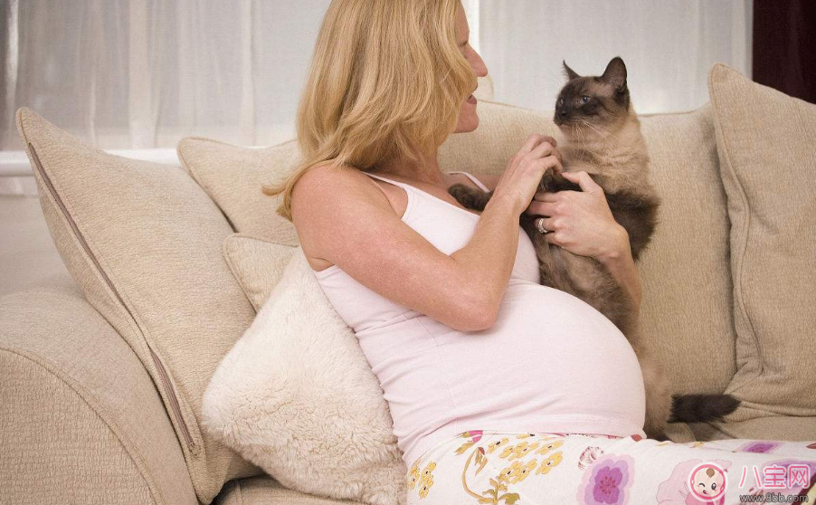 孕婦能不能接觸寵物 懷孕了可以和寵物一起生活嗎 孕婦能不能接觸寵物 懷孕了可以和寵物一起生活嗎