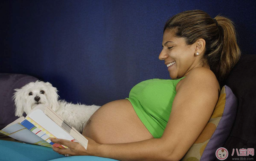 孕婦能不能接觸寵物 懷孕了可以和寵物一起生活嗎 孕婦能不能接觸寵物 懷孕了可以和寵物一起生活嗎