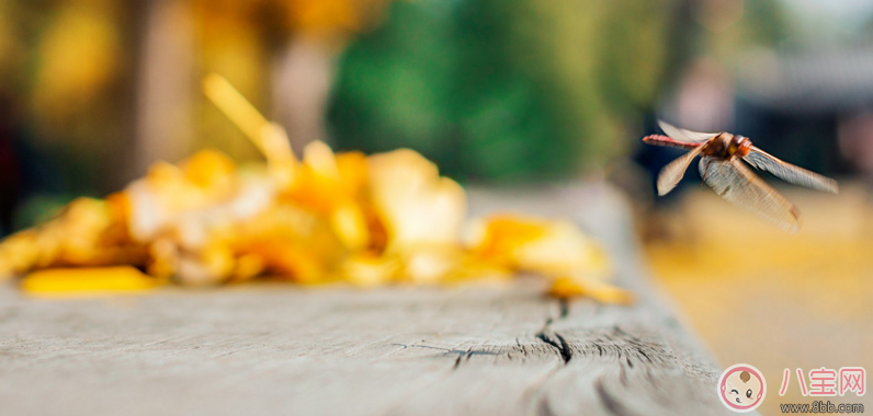 冬天曬太陽皮膚癢怎么回事 冬天曬太陽癢怎么辦 冬天曬太陽皮膚癢怎么回事 冬天曬太陽癢怎么辦