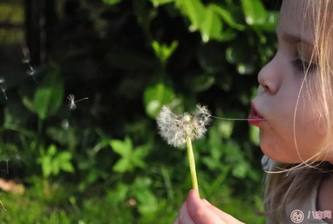 怎樣鍛煉孩子的自立能力 孩子從小要培養哪些能力 怎樣鍛煉孩子的自立能力 孩子從小要培養哪些能力