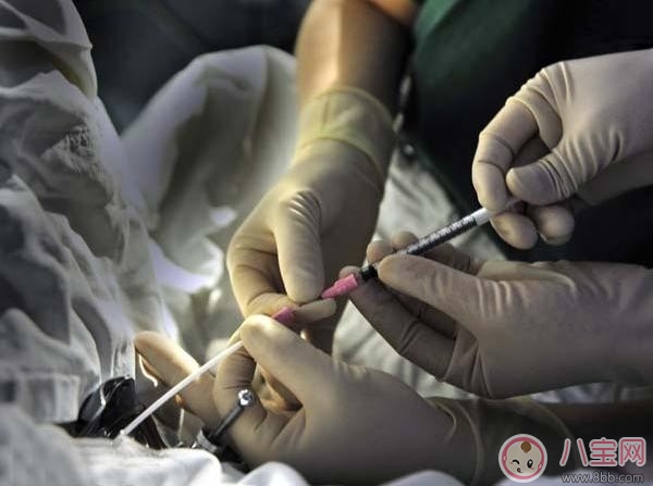 人工授精和試管嬰兒的區別在哪里 人工授精和試管嬰兒哪個成功率高