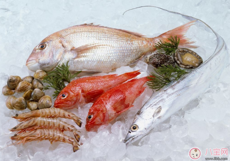 孕初期可以吃蝦嗎 孕婦吃蝦怎么吃好