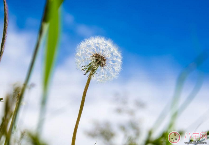 期末考試后家長寄語怎么寫2018 孩子期末考試家長簡短評語大全 期末考試后家長寄語怎么寫2018 孩子期末考試家長簡短評語大全