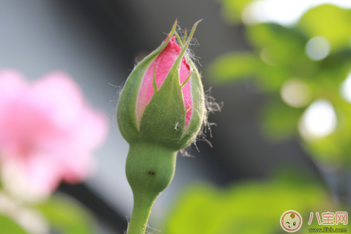 期末考試后家長寄語怎么寫2018 孩子期末考試家長簡短評語大全 期末考試后家長寄語怎么寫2018 孩子期末考試家長簡短評語大全
