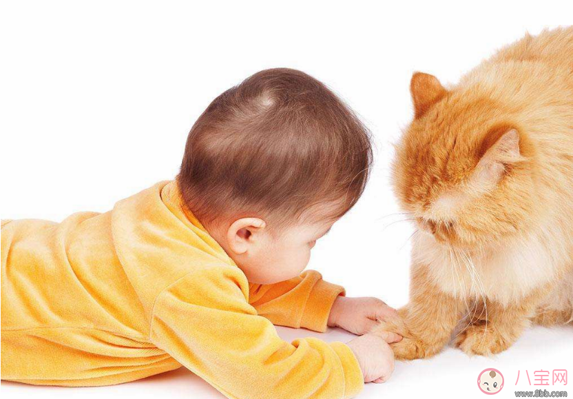  一個人怎么教寶寶學爬 寶寶爬行少會影響智力嗎