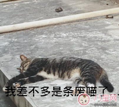 天氣冷心情說說 天冷心也冷朋友圈圖片句子