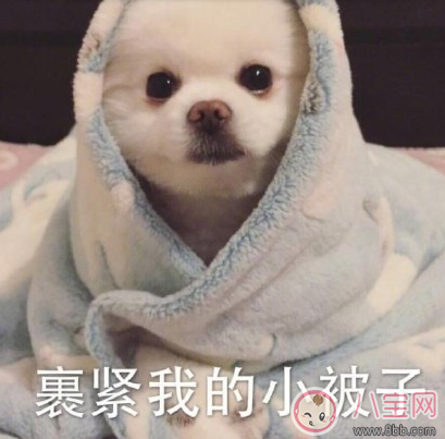 關于天冷的搞笑說說句子 吐槽天氣冷的幽默段子 關于天冷的搞笑說說句子 吐槽天氣冷的幽默段子