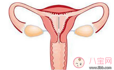 女性上環什么時候可以進行性生活 女性上環后會有哪些副作用 女性上環什么時候可以進行性生活 女性上環后會有哪些副作用
