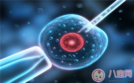 導致試管嬰兒失敗的原因是什么 2018試管嬰兒的成功率有多高 導致試管嬰兒失敗的原因是什么 2018試管嬰兒的成功率有多高