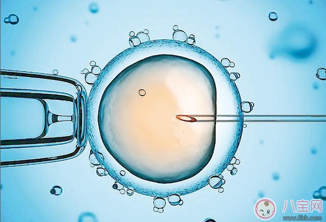 導致試管嬰兒失敗的原因是什么 2018試管嬰兒的成功率有多高 導致試管嬰兒失敗的原因是什么 2018試管嬰兒的成功率有多高