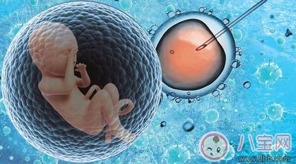 導致試管嬰兒失敗的原因是什么 2018試管嬰兒的成功率有多高 導致試管嬰兒失敗的原因是什么 2018試管嬰兒的成功率有多高