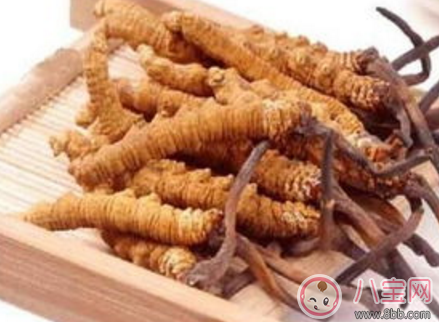 天價蟲草不抗癌是真的嗎 這些被人忽視的真話