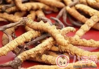 蟲草一天吃一根有效嗎 蟲草是早上吃還是晚上吃好 蟲草一天吃一根有效嗎 蟲草是早上吃還是晚上吃好