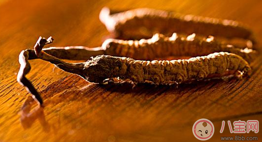 蟲草一天吃一根有效嗎 蟲草是早上吃還是晚上吃好 蟲草一天吃一根有效嗎 蟲草是早上吃還是晚上吃好