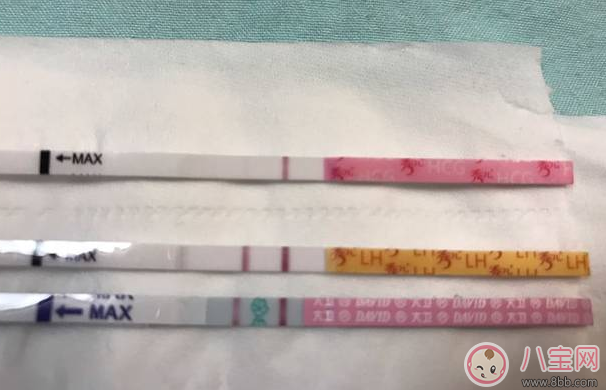 排卵試紙強陽會懷孕嗎 排卵試紙強陽多久同房