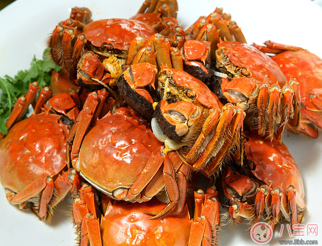 懷孕初期能吃水煮魚嗎 孕早期真的不能吃的食物 懷孕初期能吃水煮魚嗎 孕早期真的不能吃的食物