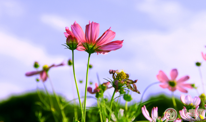 新年給老師的祝福語2018 家長寫給老師的新年寄語