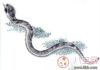 孕婦睡覺時夢見蛇是什么意思 孕婦夢見蛇還被蛇咬了有什么暗示