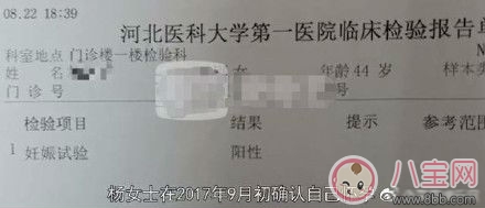 楊淑芳還懷了杜志國的孩子是怎么回事 這個楊淑芳是從哪里出來的