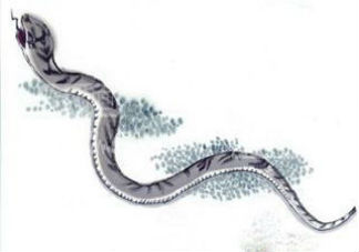 孕婦睡覺時夢見蛇是什么意思 孕婦夢見蛇還被蛇咬了有什么暗示