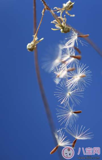 通知書評語怎么寫 ?2018通知書簡短評語大全