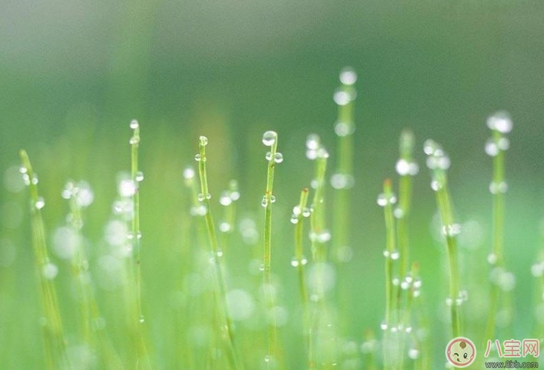 立春養生遵循原則2018 立春飲食藥膳食譜推薦