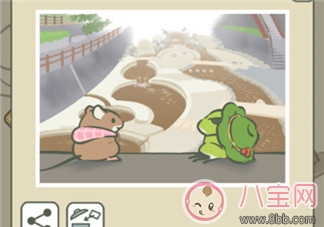 旅行青蛙是男的還是女蛙 為什么都說青蛙是蛙兒子